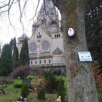 Im Vordergrund ist ein Baum an dem ein Nistkasten angebracht ist. Im Hintergrund sieht man Gräber und die Friedhofskirche.